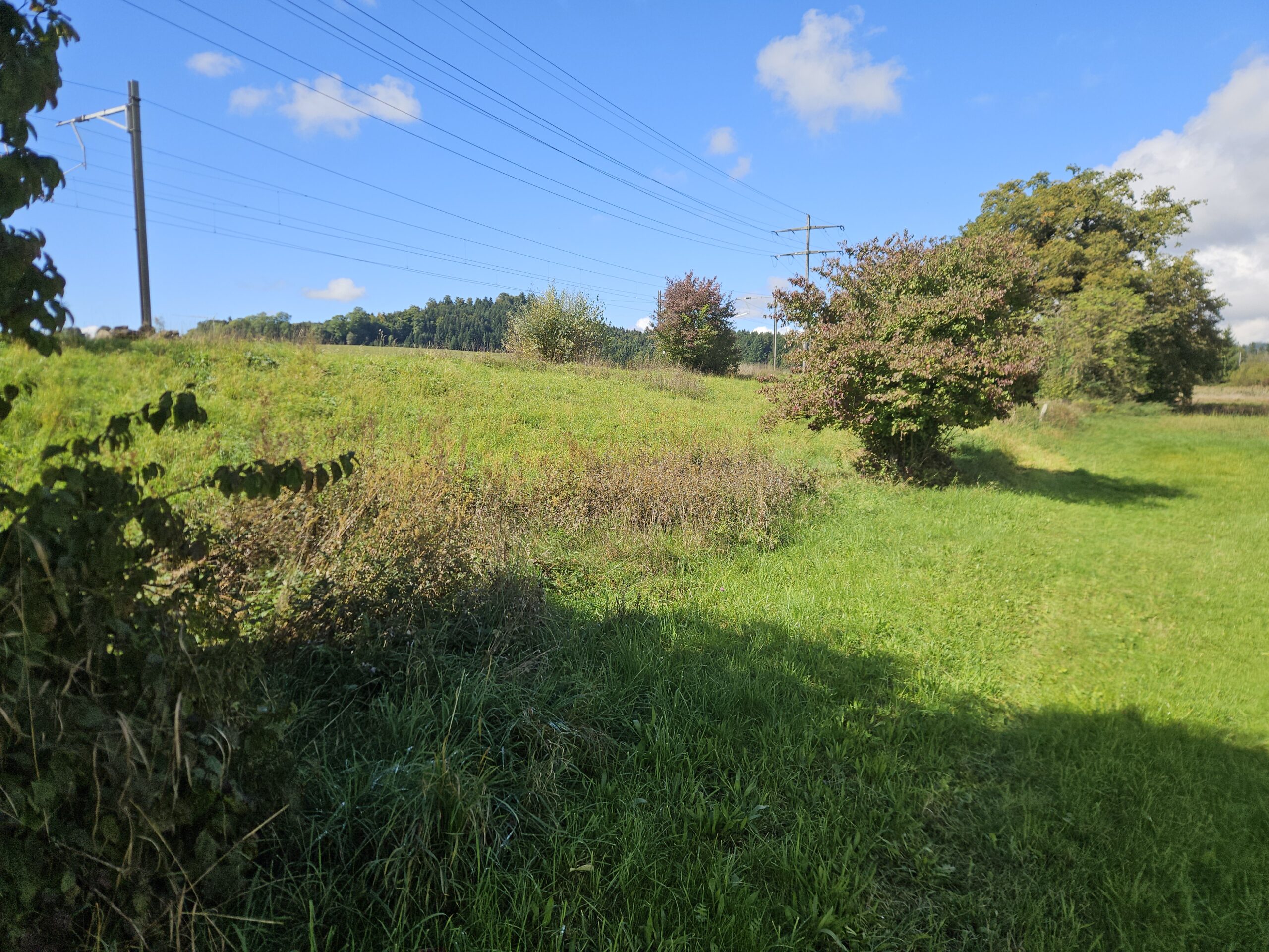 Bauarbeiten am Bahndamm Allmendingen